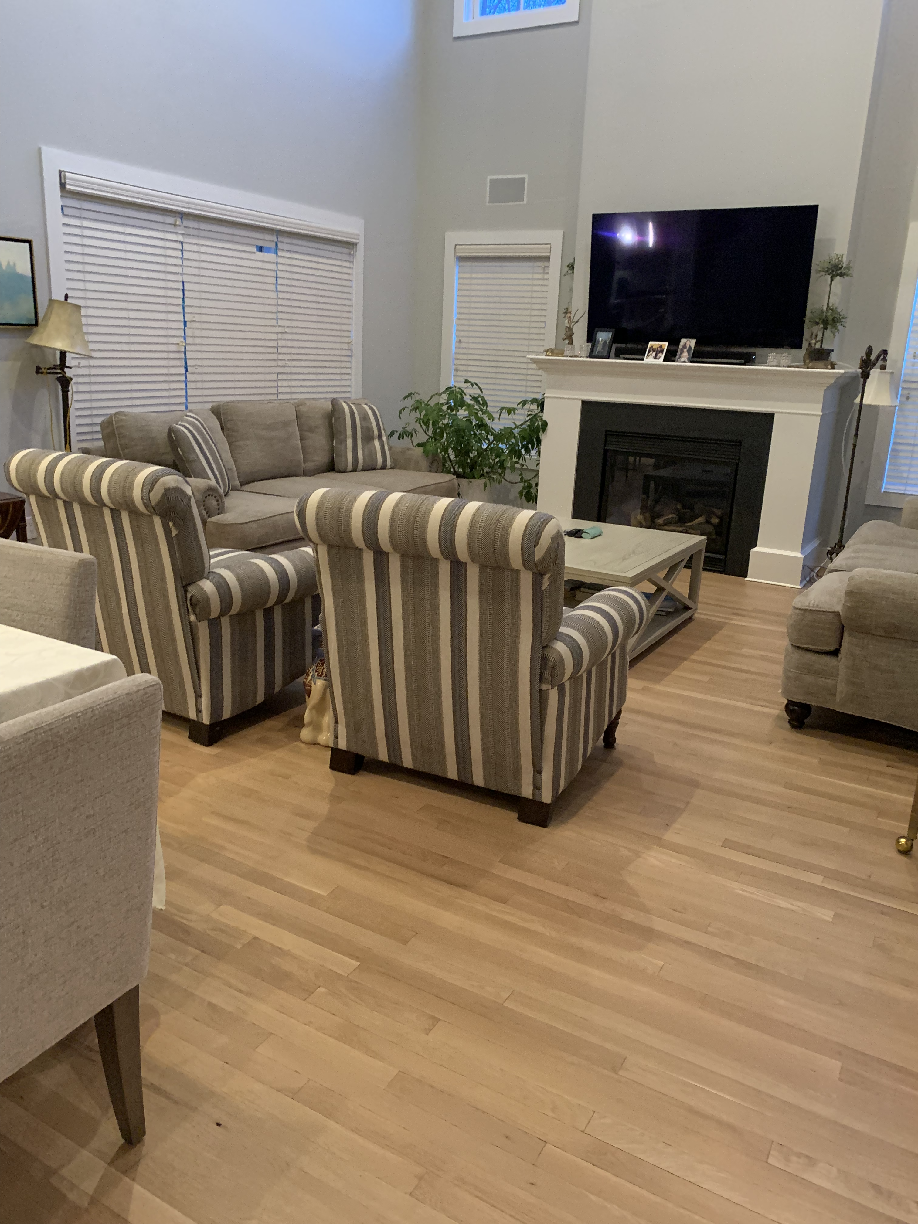 Living Room Organization